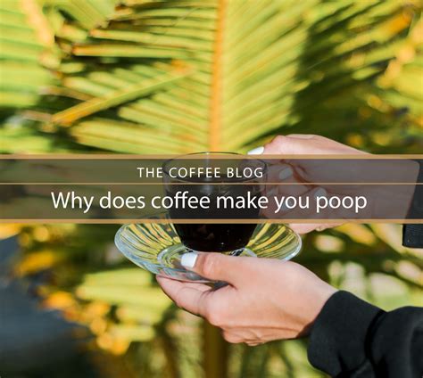 Does Coffee Make You Pee