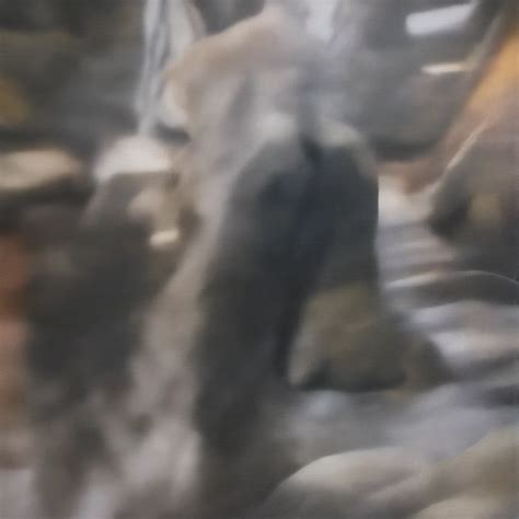 Image result for Ethical Issues Alignment Problem Ai Diagram