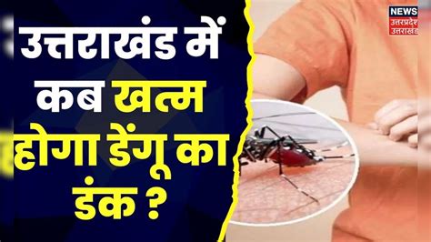 Dengue Case In Uttarakhand : Uttarakhand में लगातार बढ़ रहे Dengue के ...