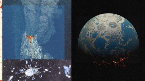 How Did Life First Form 的图像结果