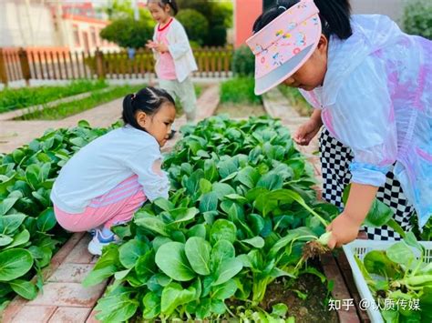 小菜园 欢乐多-精彩活动 - 常州市天宁区红梅幼儿园
