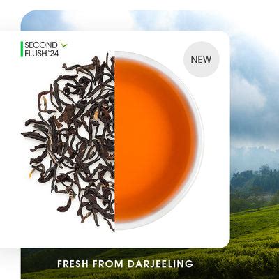 Buy Black Tea Leaves Online | 2024 Harvest | Teabox