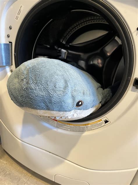 Image result for Blahaj Washing Machine