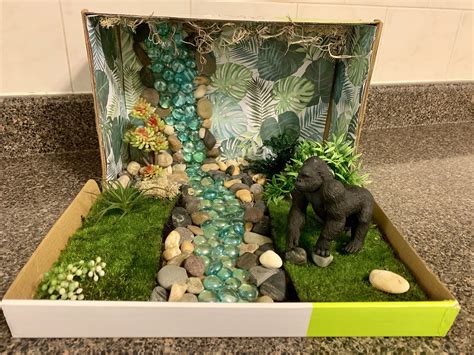2nd Grade Diorama Project: Gorilla in Rainforest Habitat