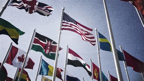 Examples of Globalization 的图像结果