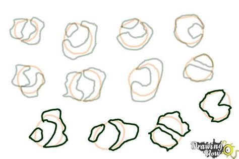 Image result for How to Draw Leopard Print