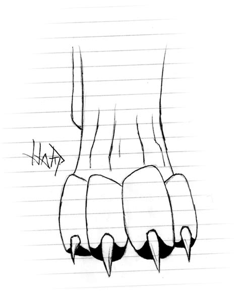 Paws - Drawing Skill