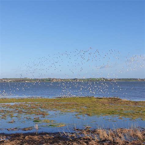 Flood Gates Walk (Newtownards) - All You Need to Know BEFORE You Go