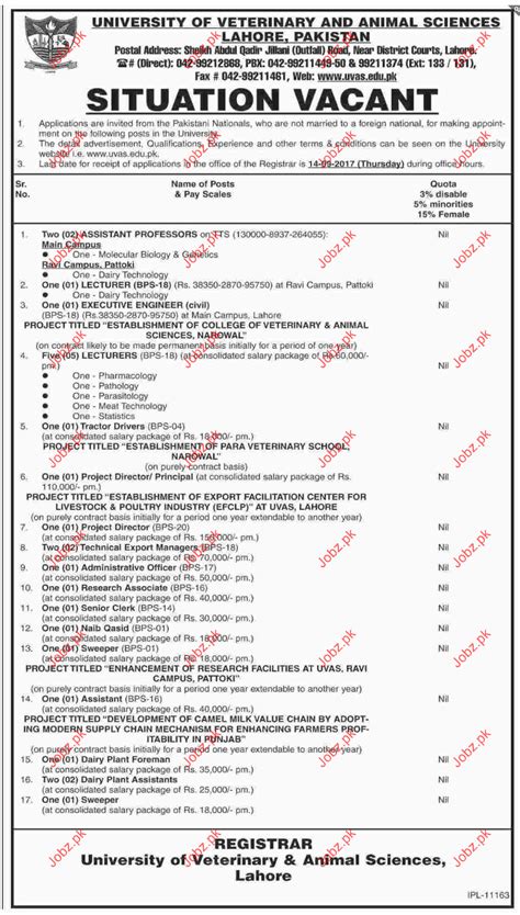 University of Veterinary and Animal Sciences Jobs 2025 Job Advertisement Pakistan