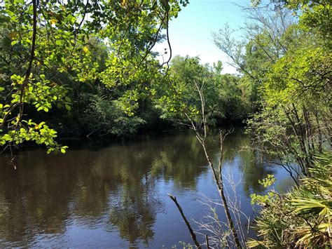 31.4 acres in Saint George, GA, 31537 | Land and Farm