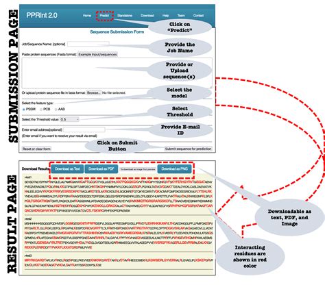 PPRInt 2.0: Help Page
