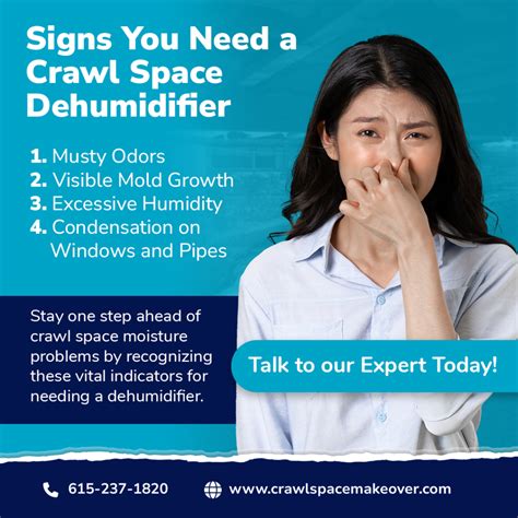 Crawl Space Dehumidifier Installation Near Me