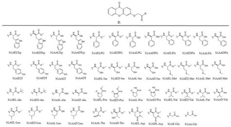 IJMS | Special Issue : Bioactive Compounds in Cancers