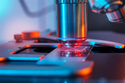 Understanding Depth of Field and Depth of Focus in Microscopes - Accu-Scope