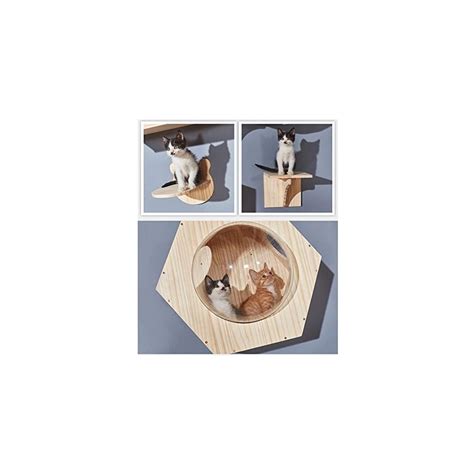 HOLPPO Cat Tree Wall Mount Playground Steps Modern | Ubuy India
