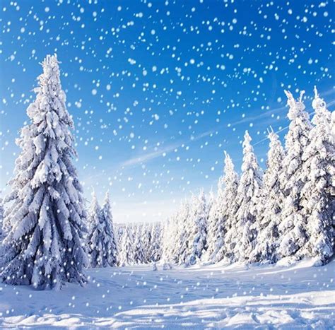 Image result for Snowfall Minecraft