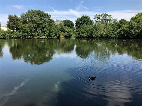 THE 10 BEST Places to Visit in Solihull - UPDATED 2022 (with Photos ...