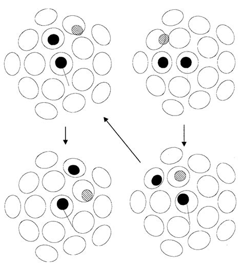 Image result for Commutation Theorem