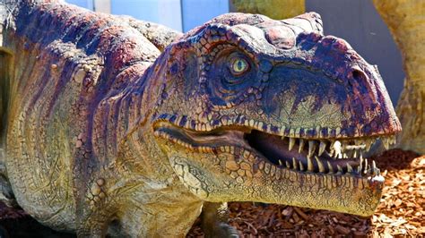 Beyond Jurassic Park: 12 Little-Known Facts About the Real T-Rex