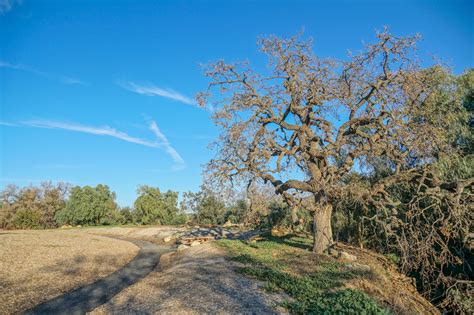 Stewardship 的图像结果