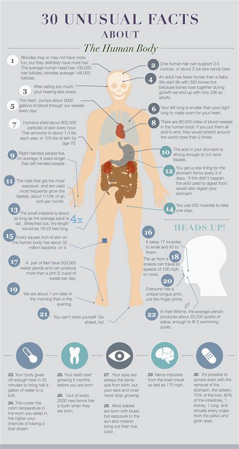 30 unusual facts about the human body | Human body facts, Biology facts, Human body