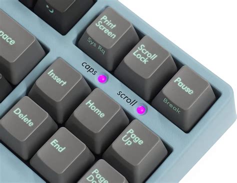 Buy FILCO Majestouch 2SC FKBN87MRL/ECSP2AG-RKL Numeric Keypad English ...