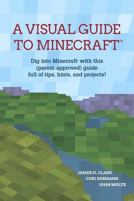 Image result for Minecraft Tips Infographs