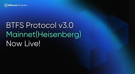 BitTorrent Network 的图像结果