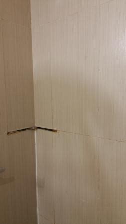 THE VUE EXPRESS @ 39TH STREET (Brooklyn) - Hotel Reviews, Photos, Rate ...