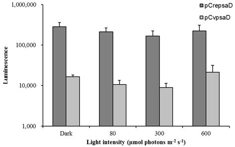 Identification and Functional Analysis of the psaD Promoter of ...