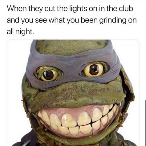 Ninja Turtle Meme