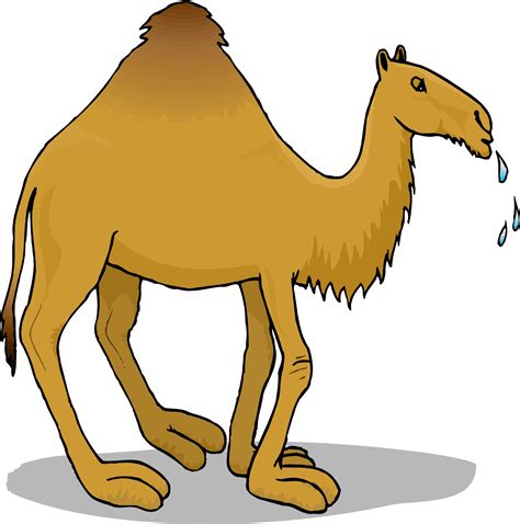 Camel clip art vector graphics 2 - WikiClipArt