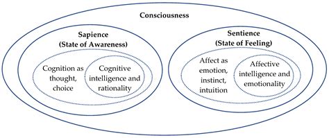 Consciousness, Sapience and Sentience—A Metacybernetic View