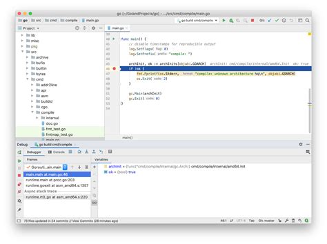 Image result for Go Project Debugging