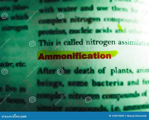 Ammonification Biological Text Written on English Language with ...