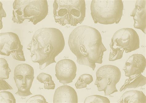 Image result for Inanimate Object