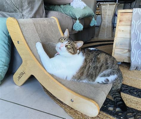 230 Badass Cat Names for Tough & Ferocious Felines - Catster