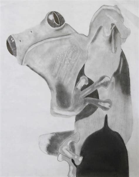 Graphite Pencil Drawing Tutorials of Animals 的图像结果