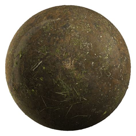 Swamp Ground Texture 的图像结果