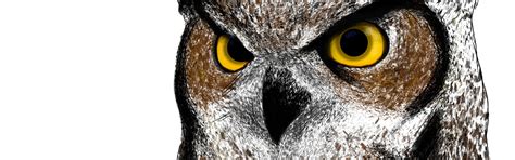 Download wallpaper owl, bird, painting, owl, section painting in ...