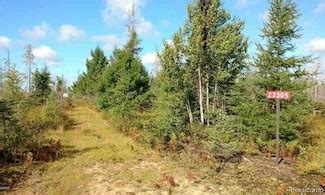 Newberry, MI Homes for Sale & Real Estate - Homes.com
