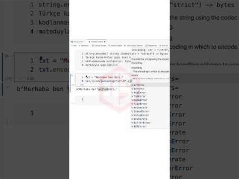 STR Encode Python 的图像结果