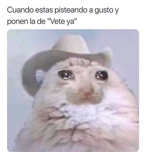 Si "Ant" es hormiga en inglés, y "Onion" es cebolla, ¿Un Antonio es una ...