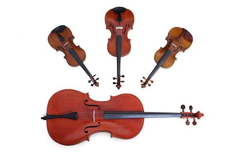 String Quartet 的图像结果