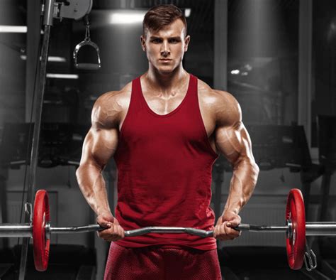 Muscle Development Workout 的图像结果