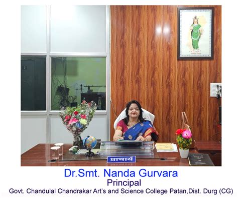 Govt College Patan | Govt. Chandulal Chandrakar Arts & Science College ...