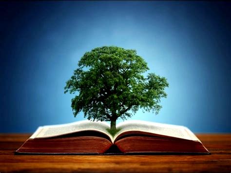 Image result for Eng Class 12