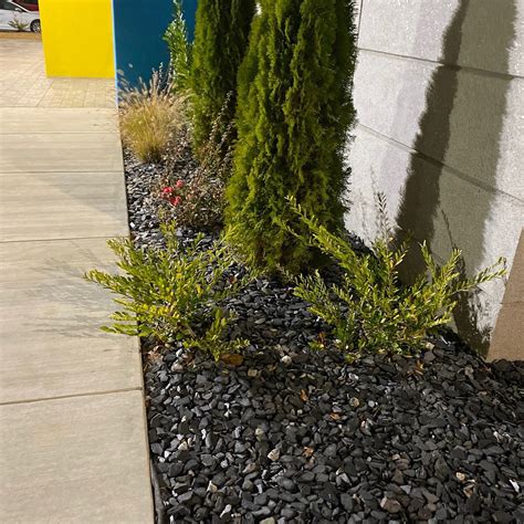 TRU BY HILTON SENECA CLEMSON - 2026 Hotel Reviews, Photos, Rate ...