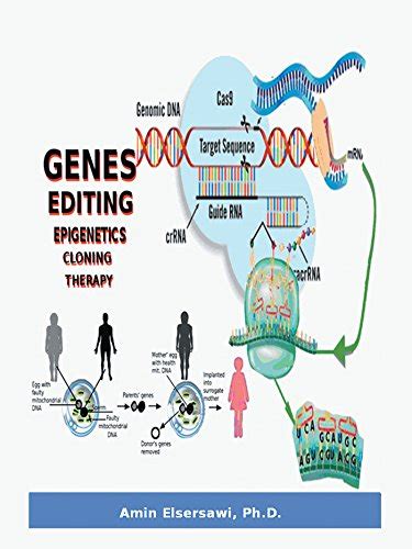Gene Editing, Epigenetic, Cloning and Therapy eBook : Elsersawi Ph.D ...