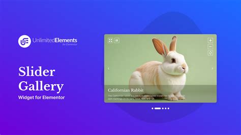 Elementor Gallery Slider 的图像结果
